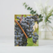 まだワインではない ポストカード (スタンド正面)