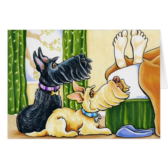 まだ上 (正面横)