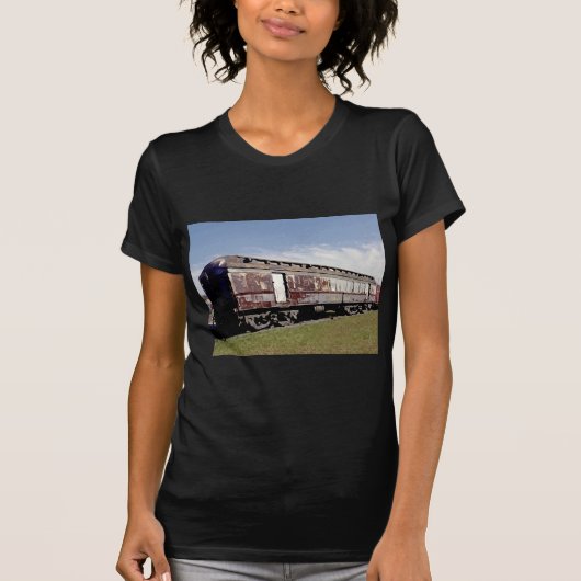 まだ列車遊に乗っている Tシャツ (正面)