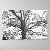 まだ心に。 ポスター (正面)