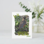 まだ春か??? ポストカード (スタンド正面)