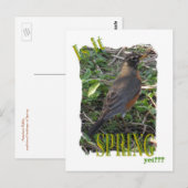 まだ春か??? ポストカード (正面/裏面)