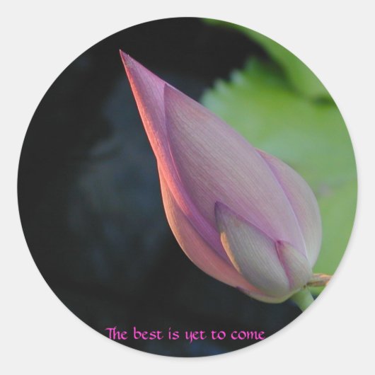 まだ最高の間に合わ来ぬ ラウンドシール (正面)