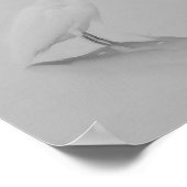 まだ白髪である ポスター (角)