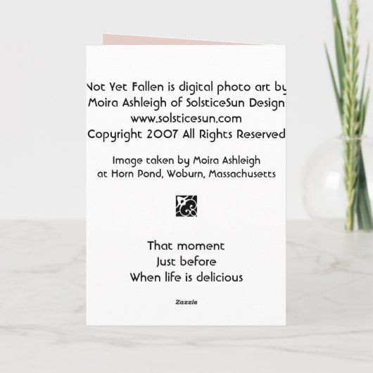 まだ落ちた カード (裏面)