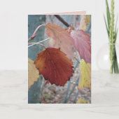 まだ落ちた カード (正面)