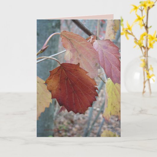 まだ落ちた カード (黄色い花)