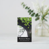 まだ©の木l自然l写真撮影 名刺 (スタンド正面)