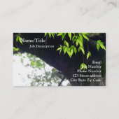 まだ©の木l自然l写真撮影 名刺 (裏面)