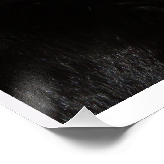 まちがいをしてもやる気を起こさせる猫スローガン ポスター (コーナー)