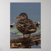 まったり ポスター (正面)