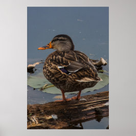 まったり ポスター