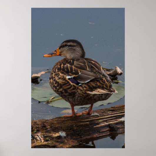 まったり ポスター (正面)