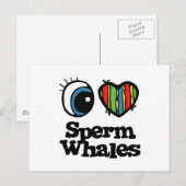 まつこう鯨が大好き ポストカード (正面/裏面)