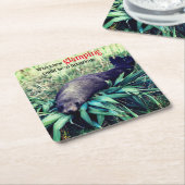 まばゆいアシカ スクエアペーパーコースター (アングル)