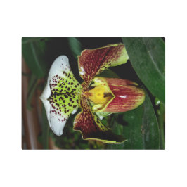 まばゆいオーキッドウォールメタルアート メタルプリント