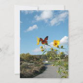 まばゆい光景 招待状 (正面)