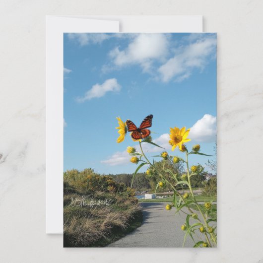 まばゆい光景 招待状 (正面)