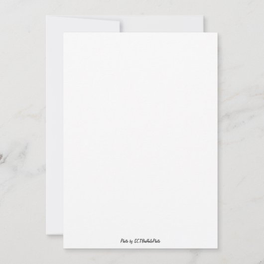 まばゆい光景 招待状 (裏面)