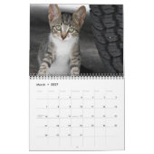 まばゆい蘭カレンダー カレンダー (3月 2027)