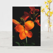 まばゆい蘭グリーティングカード カード (黄色い花)