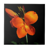 まばゆい蘭タイル タイル (正面)