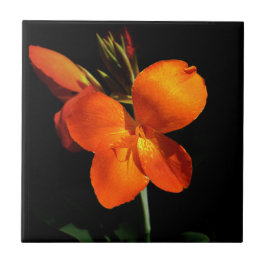 まばゆい蘭タイル タイル