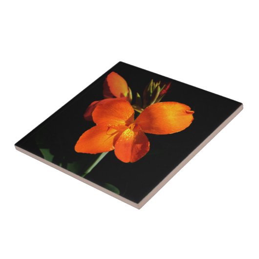 まばゆい蘭タイル タイル (側面)