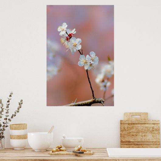 まぶしいア日本のプリコットの花 ポスター (キッチン)