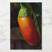 まぶしい唐辛子 ワインラベル (シングルラベル)