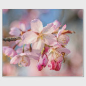 まぶしい桜の花。ベージュと青の背景 ラッピングペーパー (フラット)