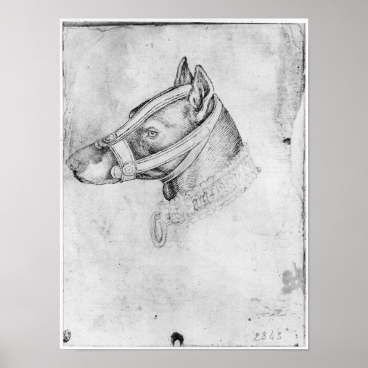 まぶしい犬の頭 ポスター (正面)