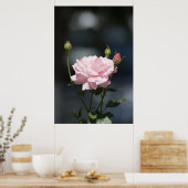 まるでバラ ポスター (キッチン)