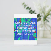 まるで草の葉のように ポストカード (スタンド正面)