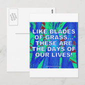 まるで草の葉のように ポストカード (正面/裏面)