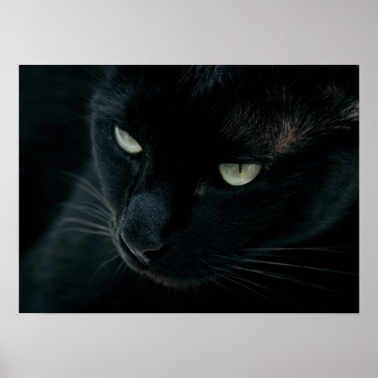 まるで黒いヒョウのように ポスター (正面)