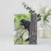 まれな発見 ポストカード (スタンド正面)