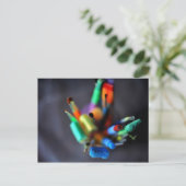 まれに見る美しいポストカード(絵筆) ポストカード (スタンド正面)