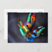 まれに見る美しいポストカード(絵筆) ポストカード (正面/裏面)