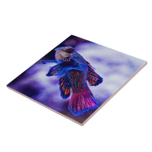 まんだらごby魚陶瓦 タイル (側面)