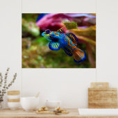 まんだらん魚Synchropus Splendidus ポスター (キッチン)