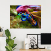 まんだらん魚Synchropus Splendidus ポスター (ホームオフィス)
