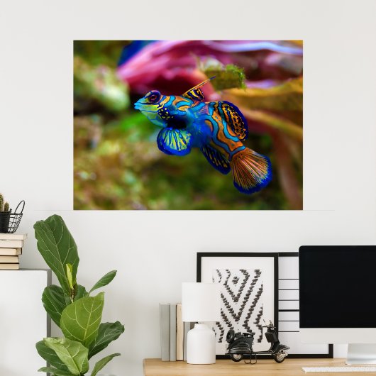 まんだらん魚Synchropus Splendidus ポスター (ホームオフィス)