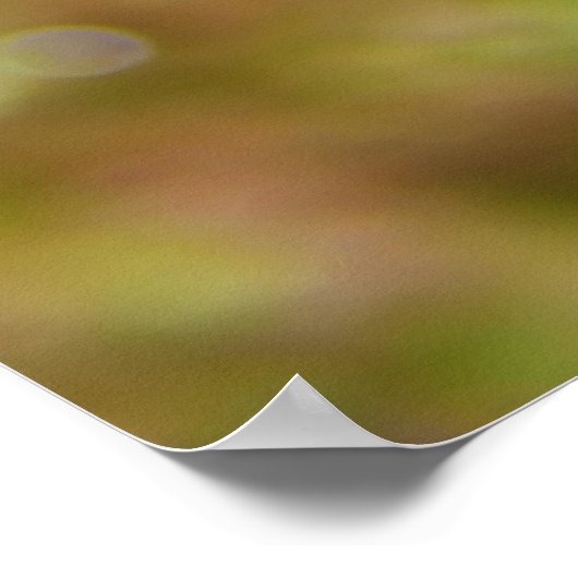 まんだらん魚Synchropus Splendidus ポスター (角)