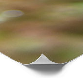 みかん流の ポスター (角)