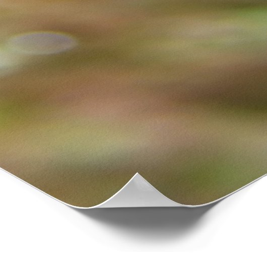 みかん流の ポスター (角)