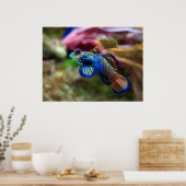 みかん流の ポスター (キッチン)