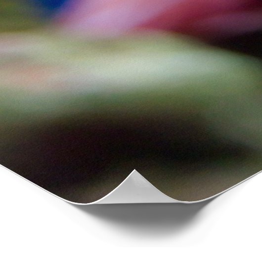 みかん流の ポスター (角)