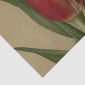 みすぼらしいシックで素敵な赤いチューリップ 薄葉紙 (詳細)