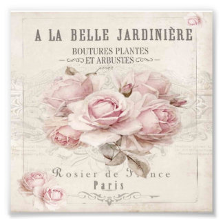 みすぼらしいシックで素朴な、ヴィンテージ、フローラ、コラージュ、カントリー フォトプリント           